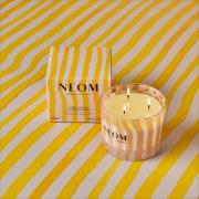 NEOM Cosy Nights 3 Wick Candle