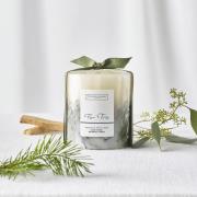 The White Company Fir Tree Medium Botanical Candle 660g