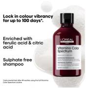 L'Oréal Professionnel Vitamino Color Spectrum Shampoo 300ml and Conditioner 200ml for Coloured Hair Duo