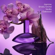 Calvin Klein Euphoria Bold Elixir Parfum Intense 30ml