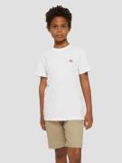 Dickies Mapleton Kids T-shirt hvid