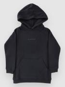 Blue Tomato Mini Logo Kids Hættetrøje grå