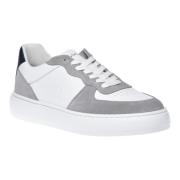Sneaker in grey suede