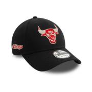 Sort Bulls NBA Metallic Kasket