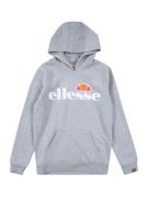 ELLESSE Sweatshirt 'Isoble'  grå-meleret / mandarin / grenadine / hvid