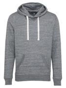 BLEND Sweatshirt 'Aton'  grå-meleret