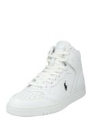 Polo Ralph Lauren Sneaker high  sort / hvid