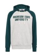 Champion Authentic Athletic Apparel Sweatshirt  grå / mørkegrøn