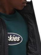 DICKIES Vinterjakke 'WALDENBURG'  sort