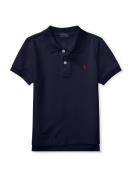 Polo Ralph Lauren Shirts  navy / rød