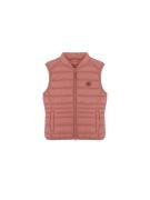 Scalpers Vest  koral