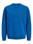 R.D.D. ROYAL DENIM DIVISION Sweatshirt  blå / rød / sort