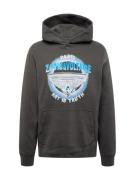 Zadig & Voltaire Sweatshirt 'SANCHI'  lyseblå / grå / antracit / hvid