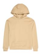 Urban Classics Sweatshirt  chamois