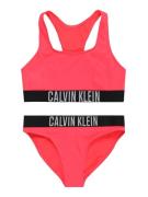 Calvin Klein Swimwear Bikini  grå / lys rød / sort