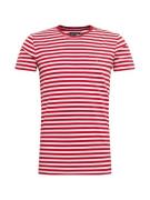 TOMMY HILFIGER Bluser & t-shirts  rød / hvid