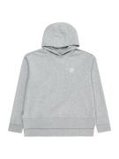 ADIDAS ORIGINALS Sweatshirt  grå-meleret