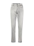 REPLAY Jeans 'SANDOT'  grey denim