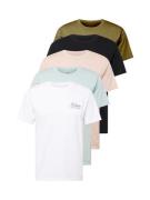 HOLLISTER Bluser & t-shirts  pastelgrøn / lyserød / sort / hvid