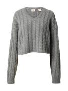 LEVI'S ® Pullover 'Rae Cropped Sweater'  mørkegrå