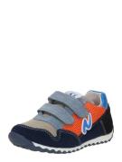 NATURINO Sneakers 'Sammy'  mørkeblå / grå / orange
