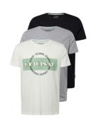 BLEND Bluser & t-shirts  beige / grå-meleret / pastelgrøn / sort
