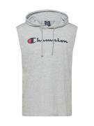 Champion Authentic Athletic Apparel Bluser & t-shirts  navy / grå-meleret / rød