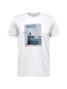 WESTMARK LONDON Bluser & t-shirts  lyseblå / greige / sort / hvid