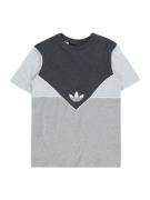 ADIDAS ORIGINALS Shirts 'Adicolor'  grå / antracit / grå-meleret / hvid
