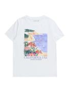 Abercrombie & Fitch Bluser & t-shirts  sand / lyseblå / mørkegrøn / hvid