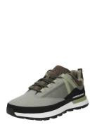 TIMBERLAND Sneaker low  brun / taupe / siv / sort
