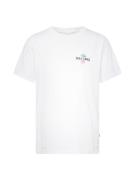 DEDICATED. Bluser & t-shirts 'Stockholm'  azur / oliven / sort / hvid