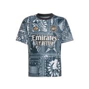 ADIDAS PERFORMANCE Funktionsskjorte 'FC Arsenal'  beige / mørkebeige / sort / hvid