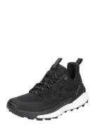 ADIDAS TERREX Lave sko 'FREE HIKER 2'  sort / hvid