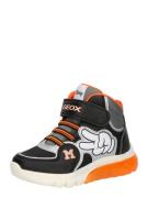 GEOX Sneakers 'CIBERDRON'  orange / sort / sølv / hvid