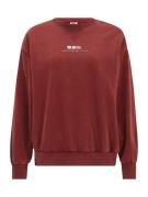 Only Tall Sweatshirt 'ONLLUCINDA'  rustbrun / hvid