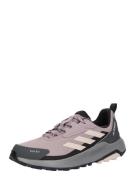 ADIDAS TERREX Lave sko 'ANYLANDER'  lysviolet / pudder / sort