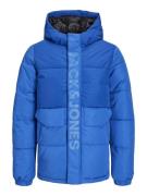 Jack & Jones Junior Vinterjakke 'Speed'  koboltblåt / royalblå / lyseblå