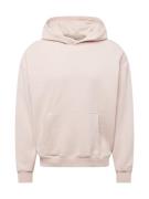 HOLLISTER Sweatshirt  pudder