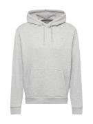 HOLLISTER Sweatshirt  grå-meleret