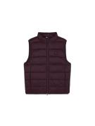 Scalpers Vest  bordeaux