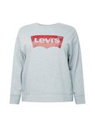 Levi's® Plus Sweatshirt 'PL Graphic Standard Crew'  grå-meleret / rød