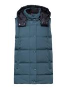 CECIL Vest  navy / petroleum