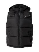 Tommy Jeans Vest 'ALASKA'  sort