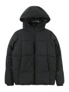 Jack & Jones Junior Vinterjakke 'JORVesterbro'  gran