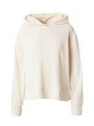 Abercrombie & Fitch Sweatshirt  uldhvid