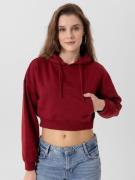 Jacey Quinn Sweatshirt  bordeaux