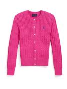 Polo Ralph Lauren Cardigan  blå / pink