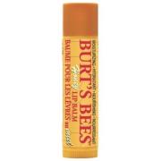 Burt´s Bees Lip Balm HONEY