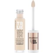 Catrice True Skin High Cover Concealer 002